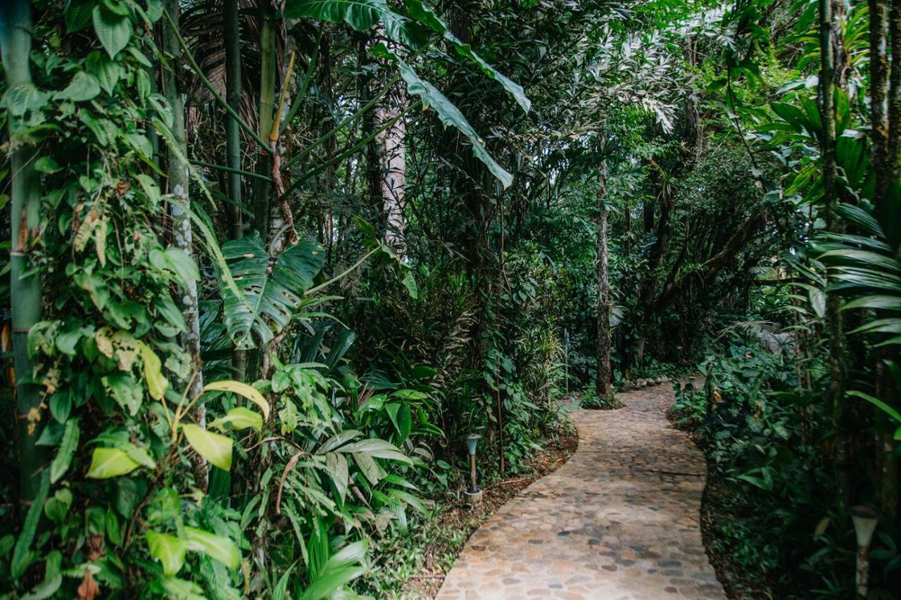 Arahuana Jungle Resort & Spa Tena Exterior photo