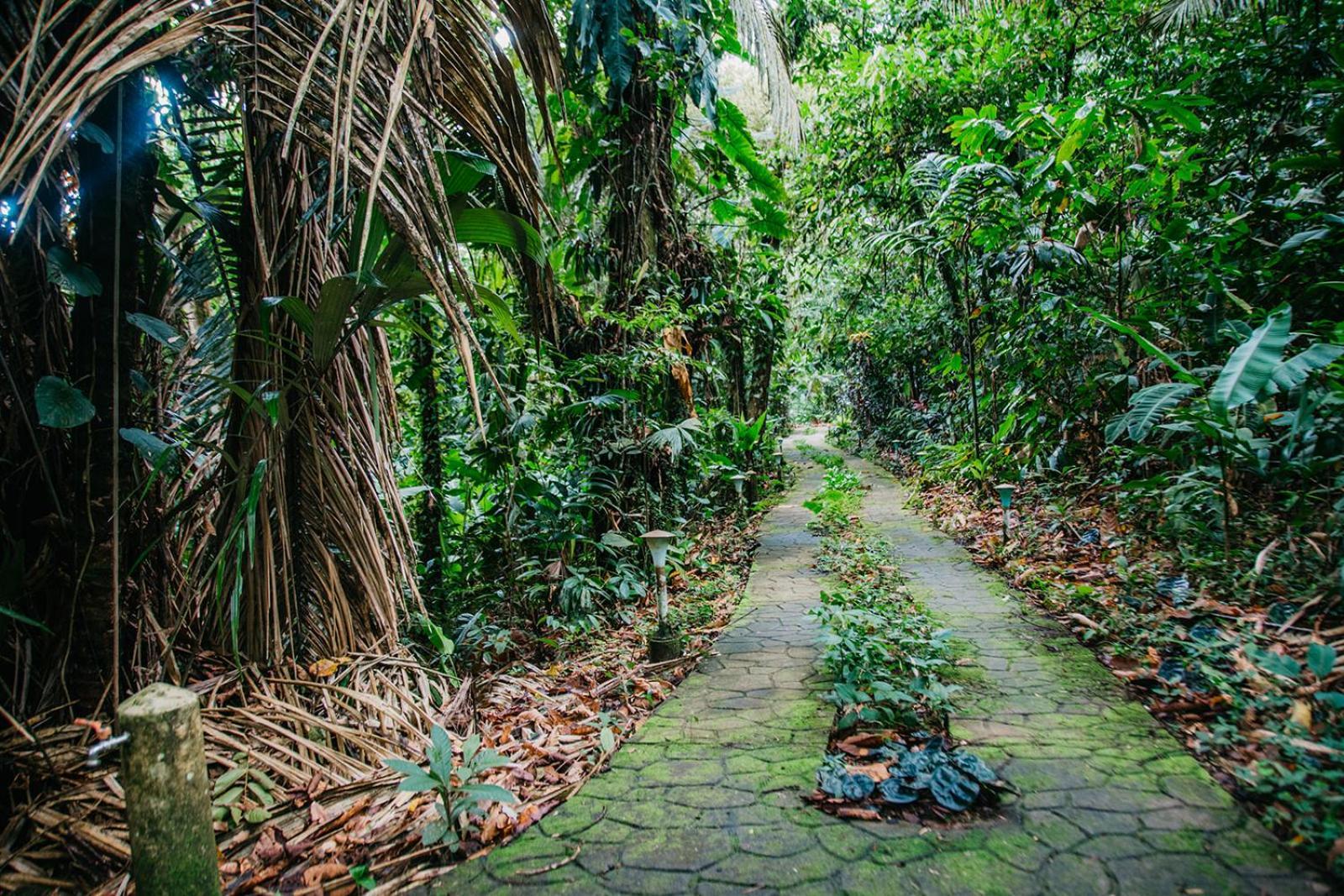 Arahuana Jungle Resort & Spa Tena Exterior photo